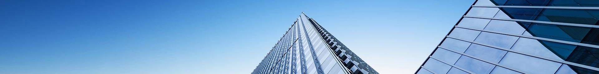 全價貓糧 魚肉味-貓糧-濟南寶翠飼料有限公司官方網(wǎng)站